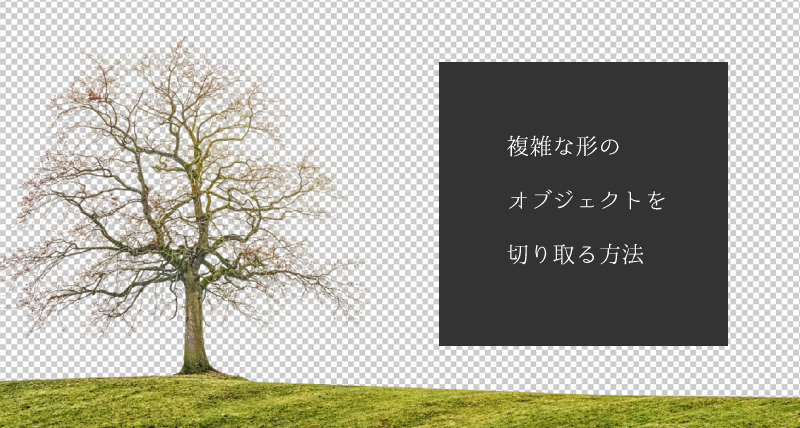 Photoshop】木のような複雑なオブジェクトを簡単に切り取る方法 